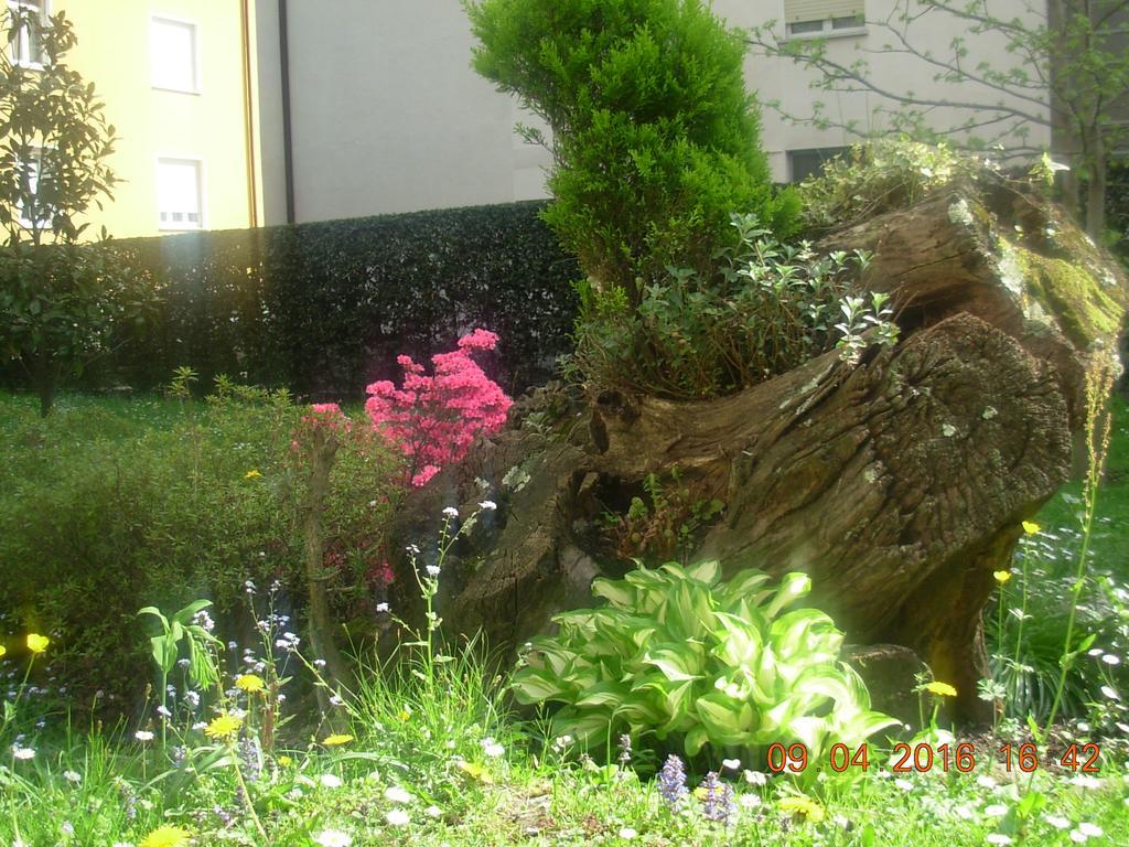 B&B I Pioppi Chiavenna Dış mekan fotoğraf