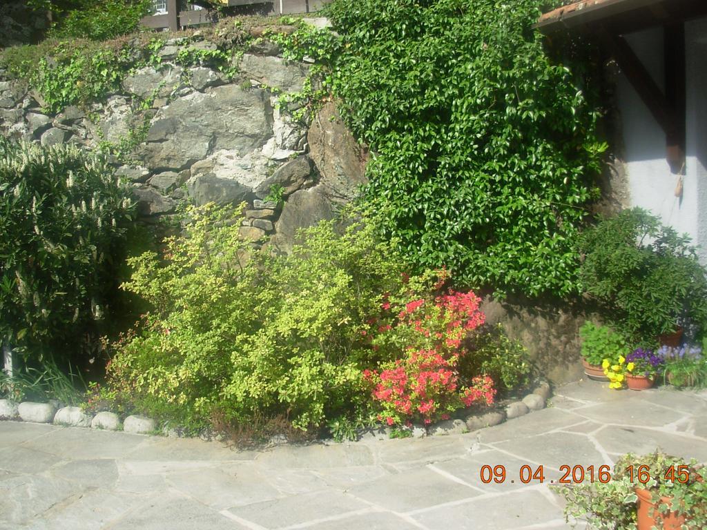 B&B I Pioppi Chiavenna Dış mekan fotoğraf